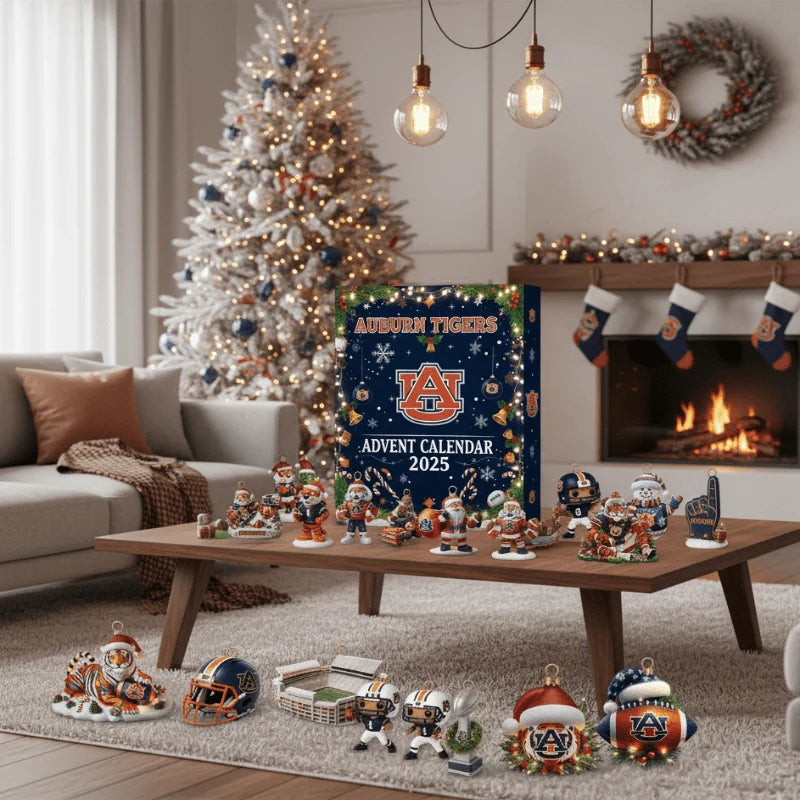 Advent Calendar 25 Numbered Compartments Freestanding Reusable