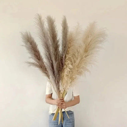 Artificial Pampas Grass Stems 25.6-Inch Low-Maintenance Decor
