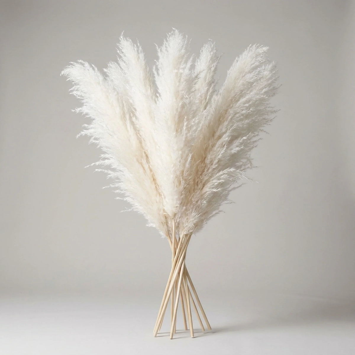 Artificial Pampas Grass Stems 25.6-Inch Low-Maintenance Decor