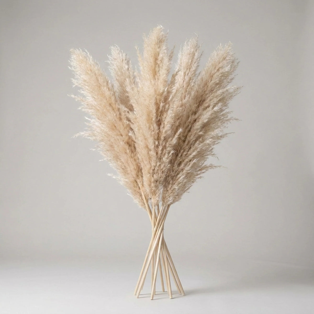 Artificial Pampas Grass Stems 25.6-Inch Low-Maintenance Decor