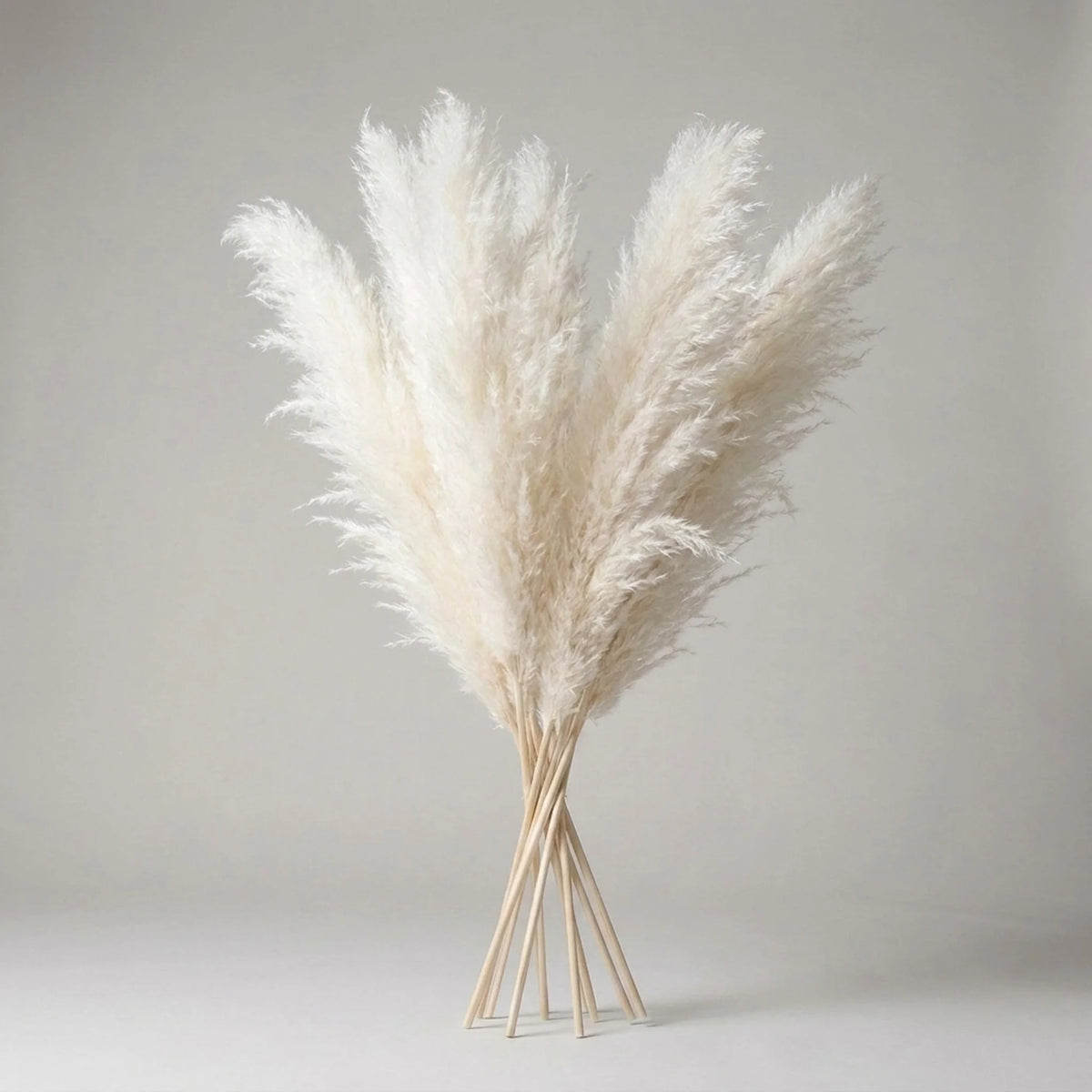 Artificial Pampas Grass Stems Plastic Natural Look 25.6-Inch Set of 5 or 10