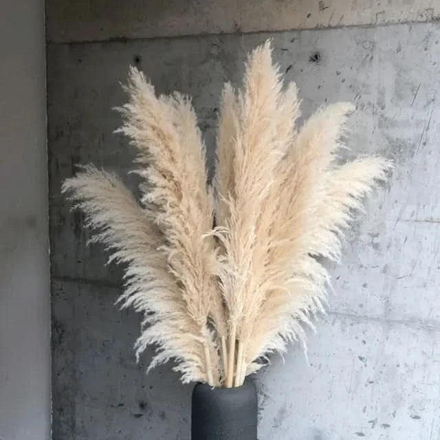 Artificial Pampas Grass Stems Plastic Natural Look 25.6-Inch Set of 5 or 10