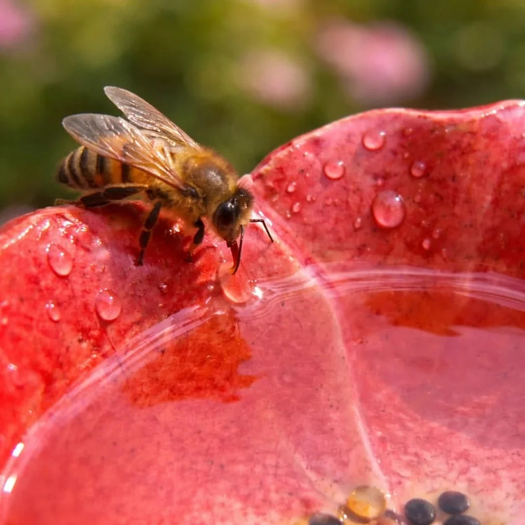 Bee Watering Stakes Glazed Ceramic Flower Cups