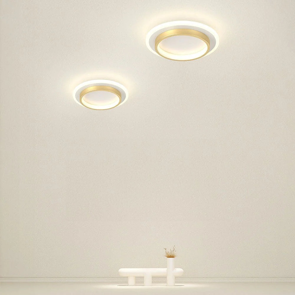 Ceiling Light LED Opal Acrylic Diffuser Selectable Color Temperature