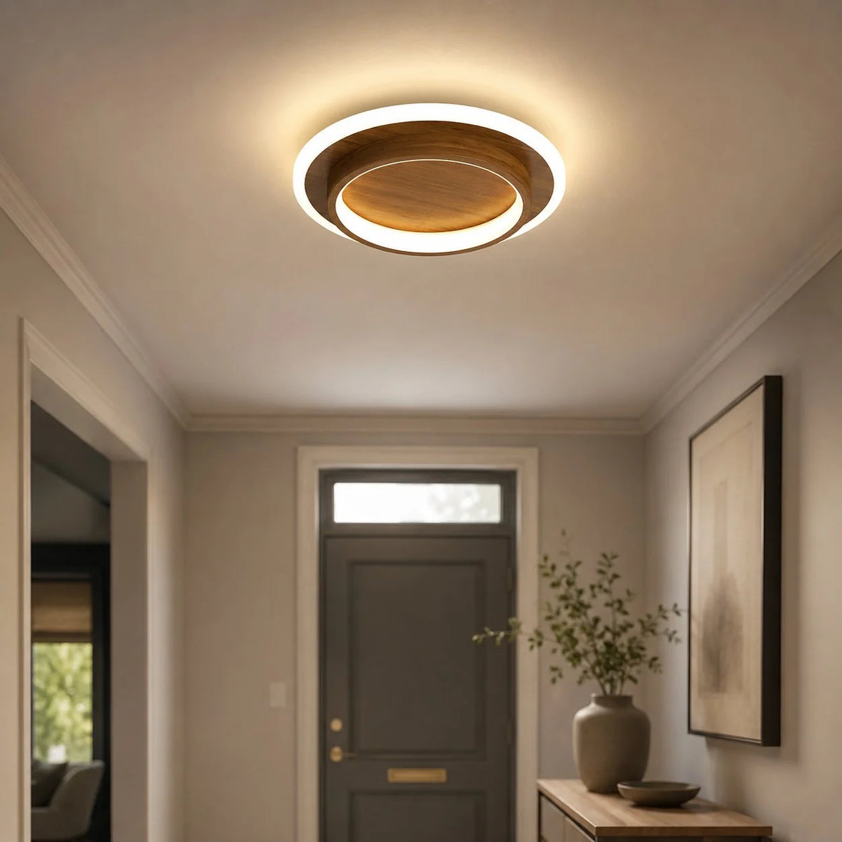 Ceiling Light LED Opal Acrylic Diffuser Selectable Color Temperature