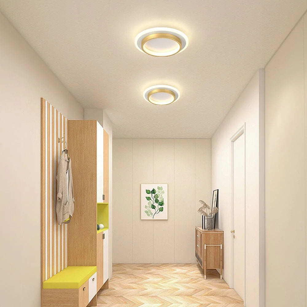 Ceiling Light LED Opal Acrylic Diffuser Selectable Color Temperature