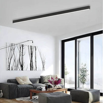 Ceiling Light LED Slim Flush Mount Adjustable Color Temperature