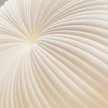 Ceiling Light Pleated Diffuser Integrated Warm White LED