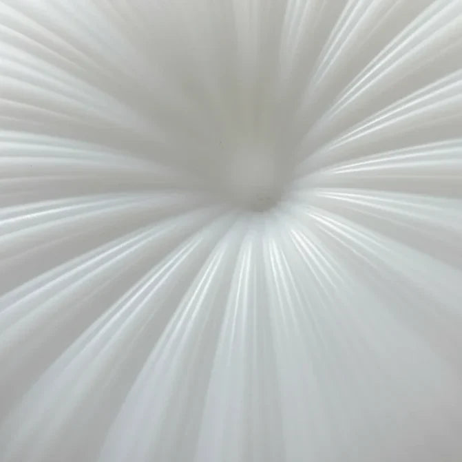 Ceiling Light Pleated Diffuser Integrated Warm White LED