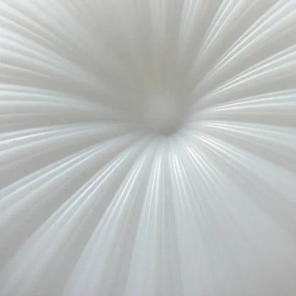 Ceiling Light Pleated Diffuser Integrated Warm White LED