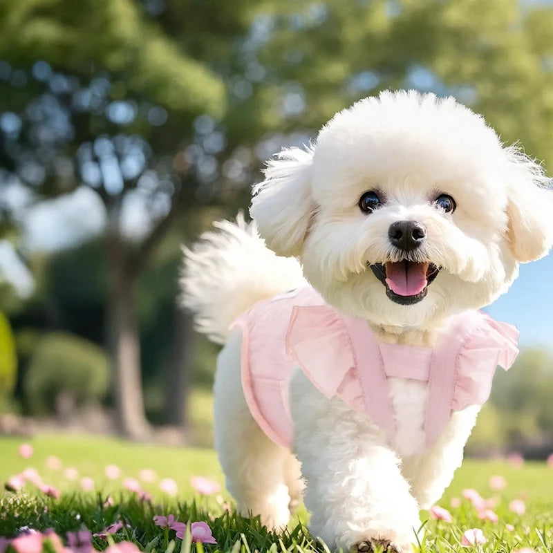 Dog Diapers Washable Reusable Cotton
