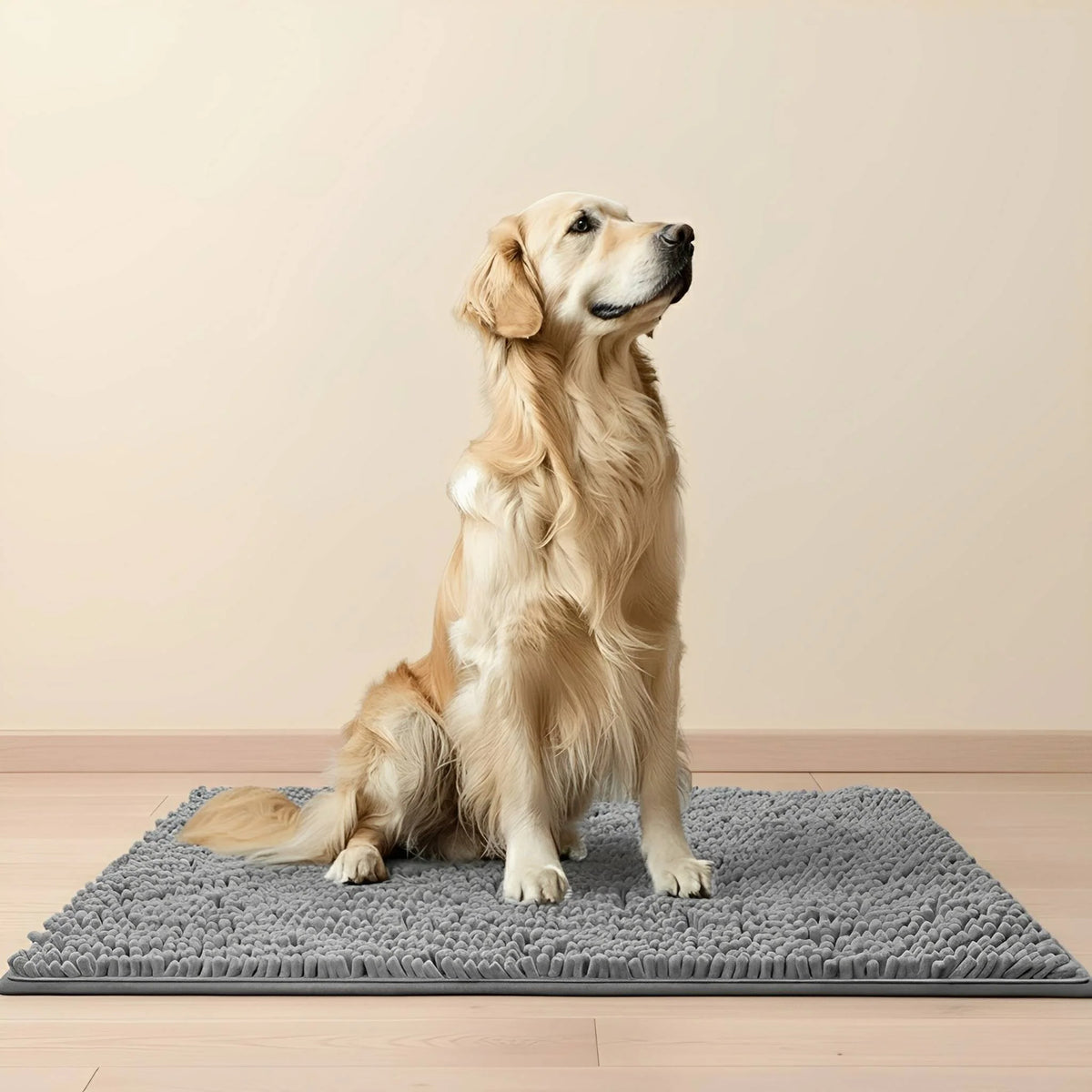Dog Door Mat Absorbent Non-Slip