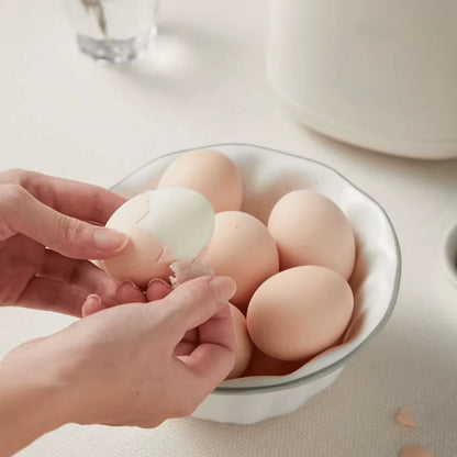 Electric Egg Cooker One-Button Operation Automatic Shutoff Compact Design