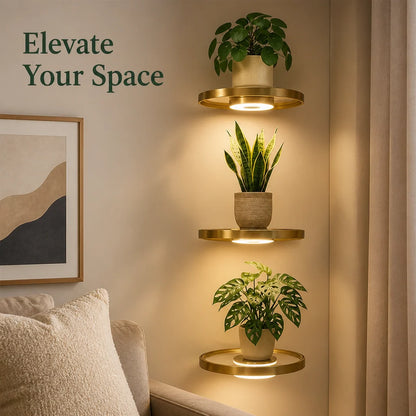 Floating Wall Shelf Built-In Warm LED USB Rechargeable