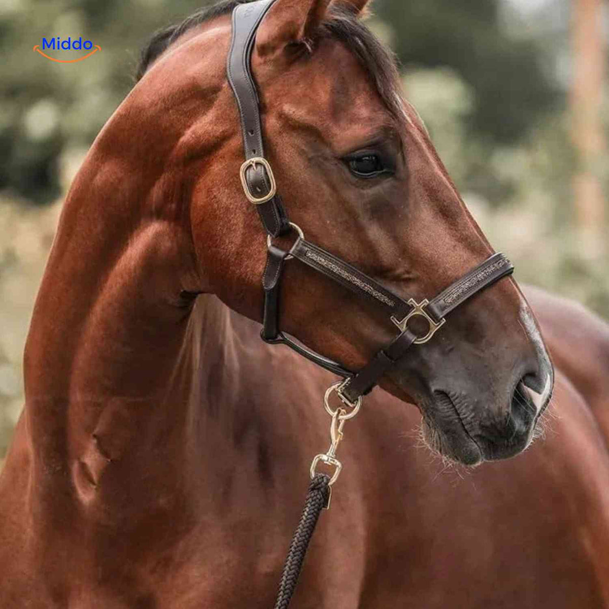 Horse Advent Calendar 24-Day Equestrian Keepsakes and Charms