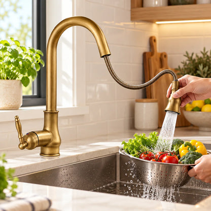 Kitchen Faucet Solid Brass Pull-Out Spray Head Pull-Down Spout