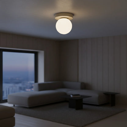 Wall & Ceiling Light Frosted Glass Warm White LED