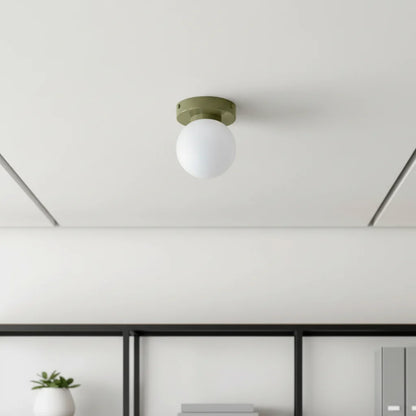 Wall & Ceiling Light Frosted Glass Warm White LED