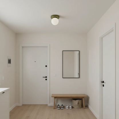 Wall & Ceiling Light Frosted Glass Warm White LED